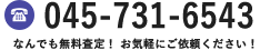 電話：045-731-6543